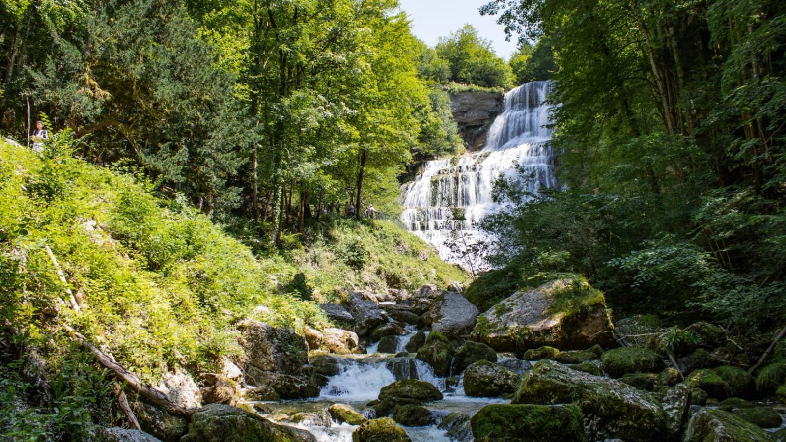 T2 Cosy Au Coeur Du Haut-Jura, Parking Gratuit Daire Morbier Dış mekan fotoğraf